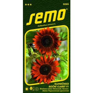 Semo Zonnebloem (eenjarig) Claret F1 8s