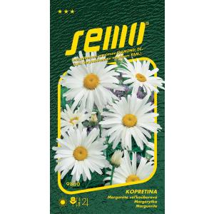 Semo Witte margriet Shasta Daisy 0,8 g