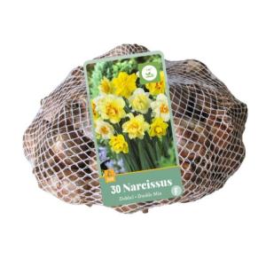 XXL Narcis Double Mix 30 bollen