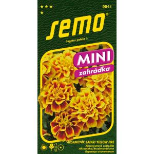 Semo Aksamitník, breed uitgroeiend, Safari Yellow Fire 30s