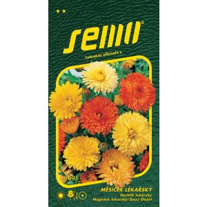 Semo Grote duizendknoop-mengsel Pacific Beauty 1 g