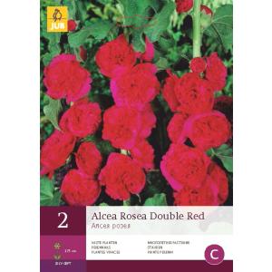Roze hibiscus DOUBLE RED "B"