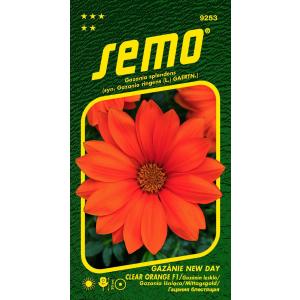 Semo Gazania 'New Day Clear Orange F1' 15s