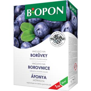 Bopon bosbessen