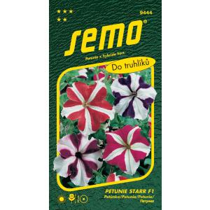 Semo Grootbloemige petunia Star F1 30 stuks