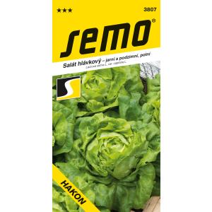 Semo Hakon Profi-voorjaarssalade voor in de volle grond 0,6 g