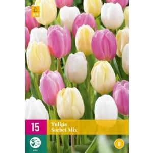 Tulpen Sorbet Mix "D"