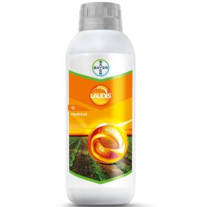 Laudis OD