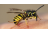 Veronika Habovčíková