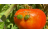 Redakcia