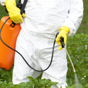 U beschouwt deze 11 biologische en chemische insecticiden als de beste