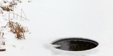 Een tuinvijver en visvijver winterklaar maken: stap voor stap