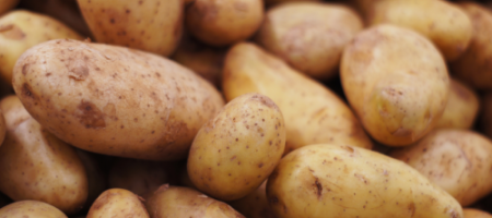 Hoe aardappelen te telen: wanneer ze te planten en wat je moet doen voor een rijke oogst