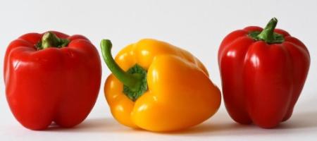 Hoe kun je paprika’s op de juiste manier kweken en verzorgen?
